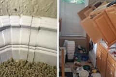 Funny mistakes on remodeling projects