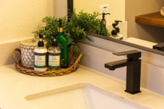 Lyndas-master-bathroom-renovation3
