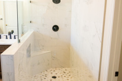 Sonya Master Bathroom Remodeling