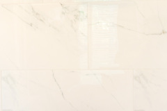Sonya Master Bathroom Remodeling