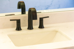 Sonya Master Bathroom Remodeling