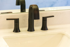 Sonya Master Bathroom Remodeling